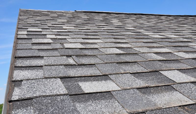 Shingle Roof Upgrade